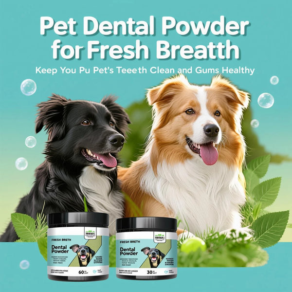 Two dogs looking happy with jars of Pet Dental Powder for fresh breath and teeth health