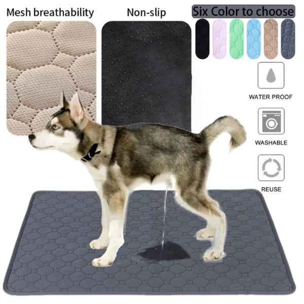 A dog is standing on a gray reusable washable pet training mat with a waterproof absorbent pad.