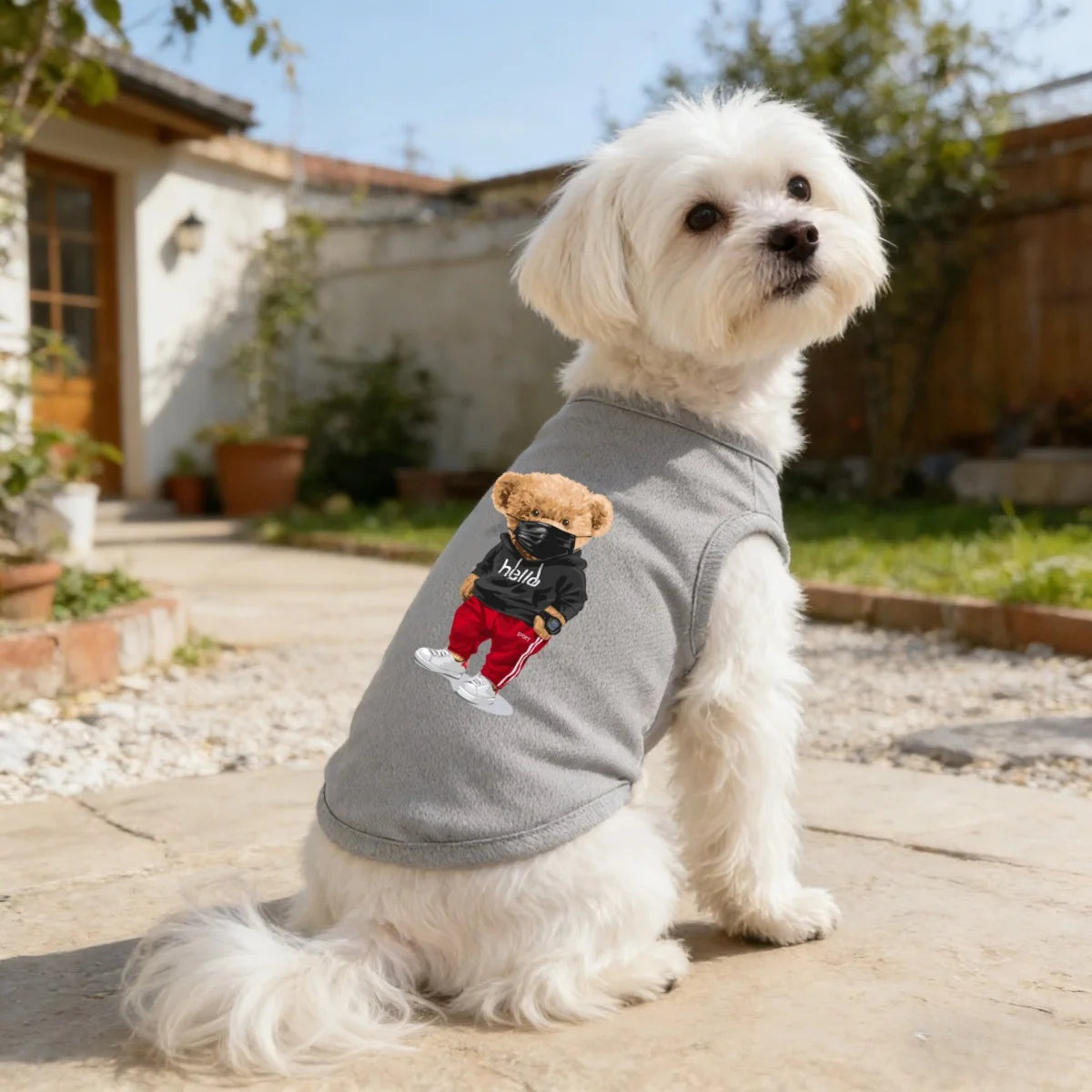 A white dog wearing a gray printed vest featuring a small bear design, sitting outdoors.