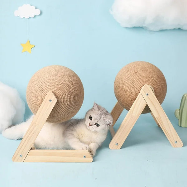 A fluffy gray kitten is resting on a wooden base with a sisal rope ball for scratching.