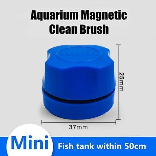 Outil brosse magnétique bleu pour nettoyer les aquariums et les poissons