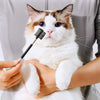 A white and ginger cat is being groomed with a black pet face comb.