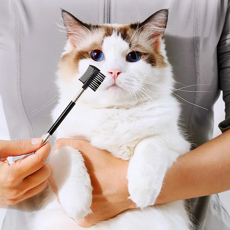 A white and ginger cat is being groomed with a black pet face comb.