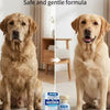 Before and after comparison of a dog's coat condition using a gentle formula.