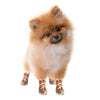 A set of four orange and white soft sole shoes for small dogs