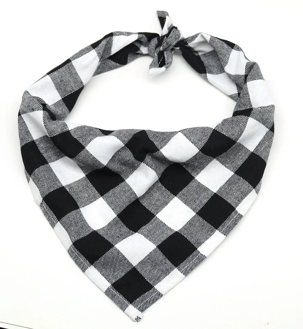 A black and white plaid cotton dog bandana tied around the neck.