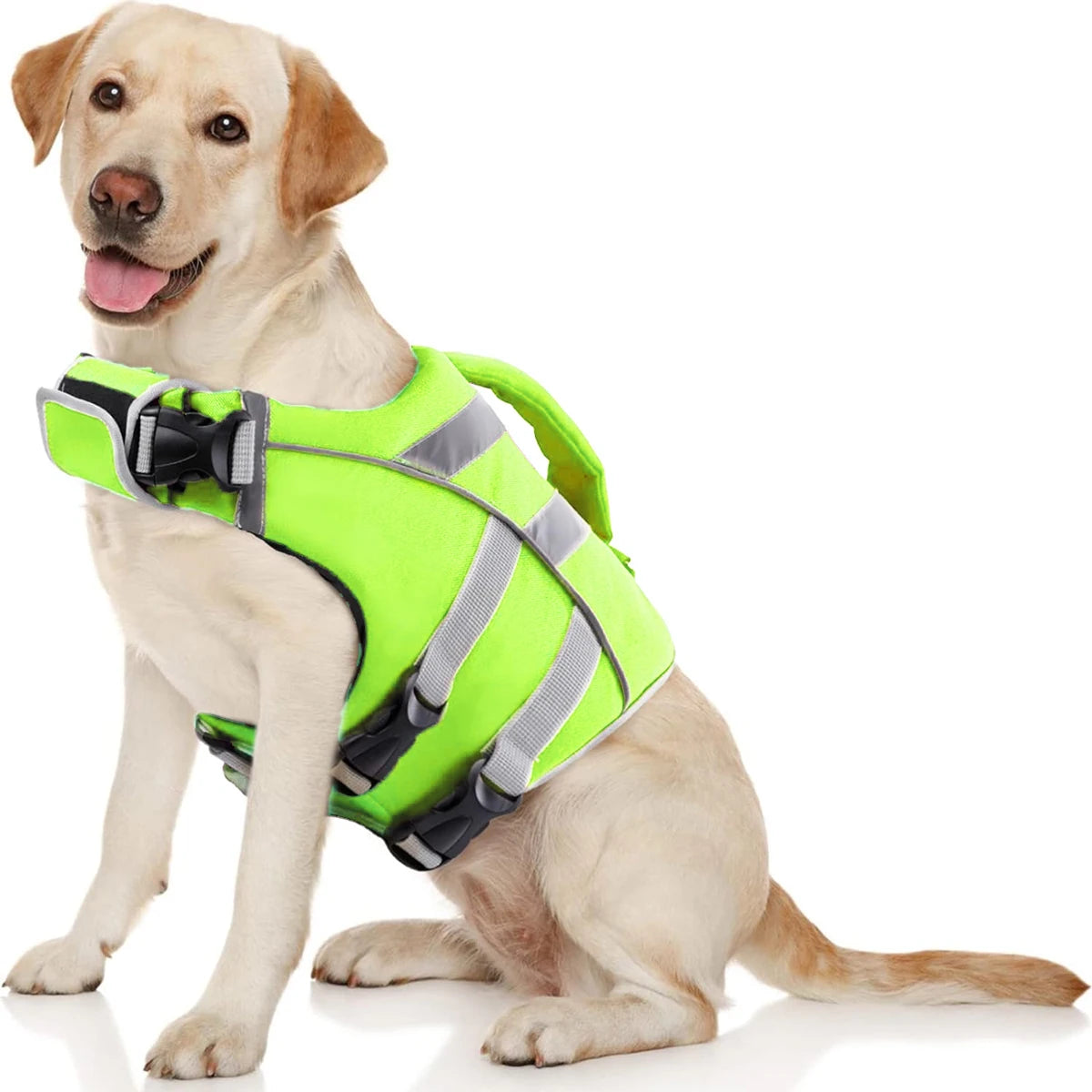 Ein helles Hund trägt eine neongelbe, wasserdichte, reflektierende Rettungsweste.