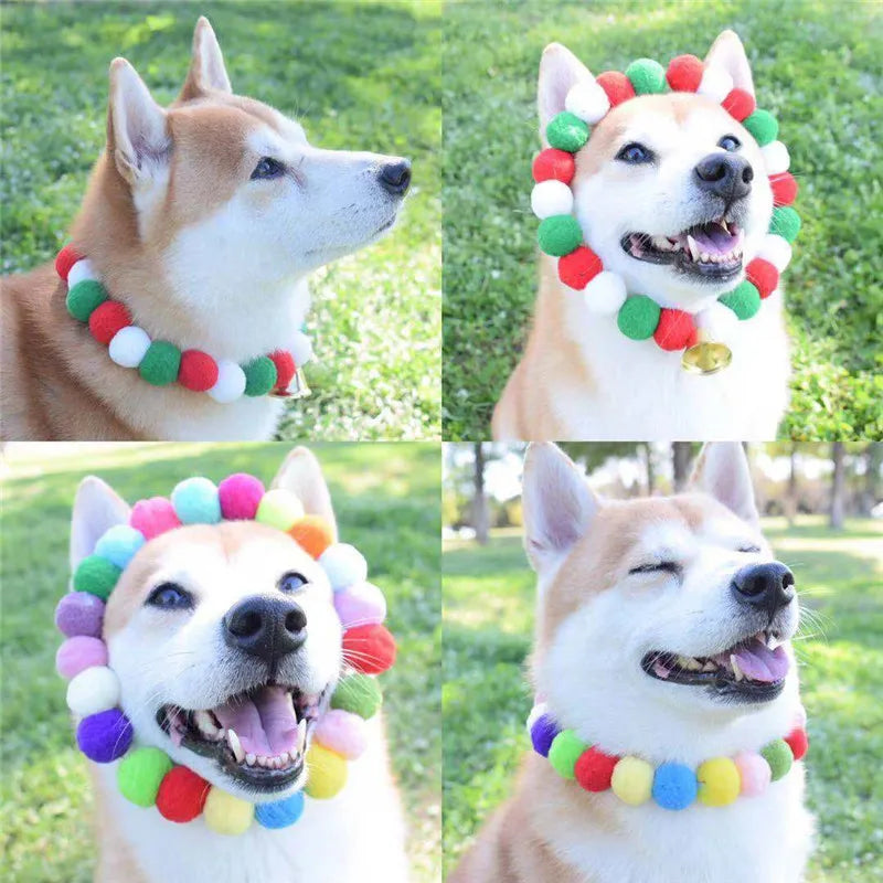 A dog wearing a colorful rainbow flower pet collar and bow tie set.