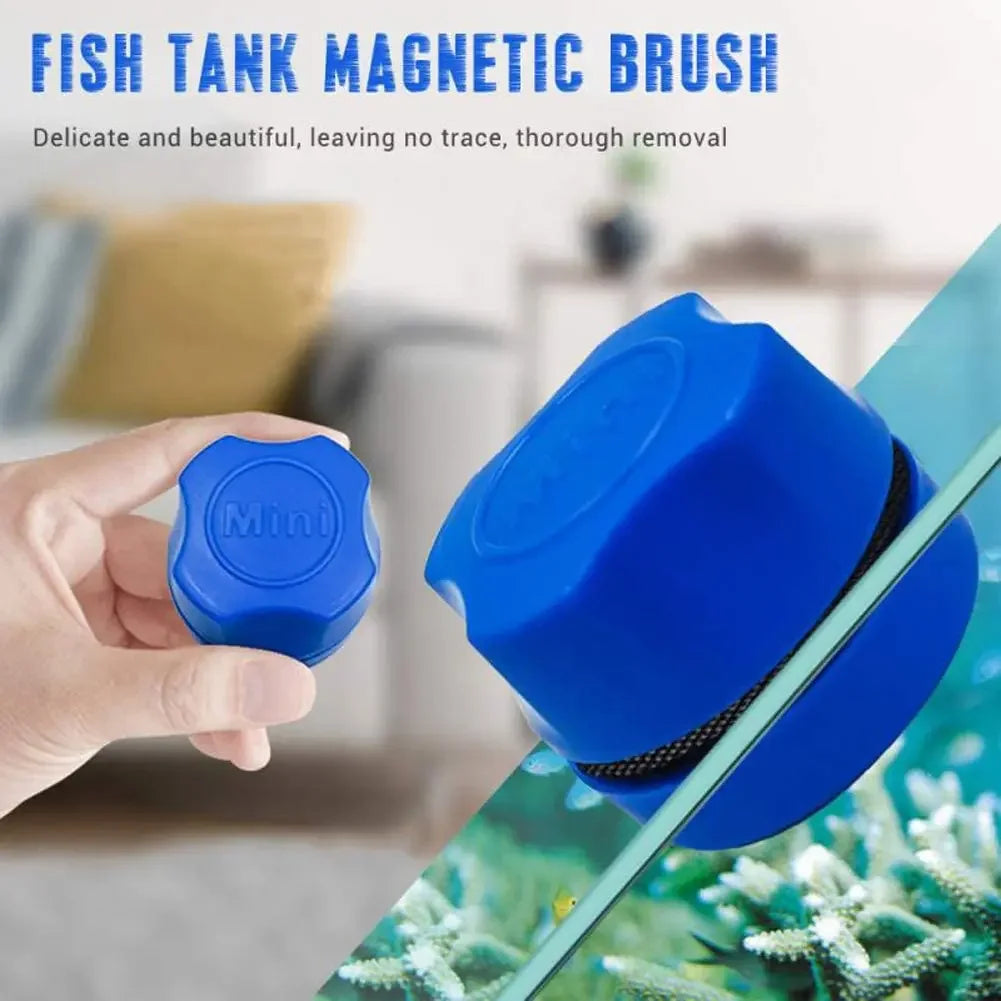 Une main tient un outil de brosse magnétique bleu pour nettoyer des aquariums, avec une plante aquatique verte visible.