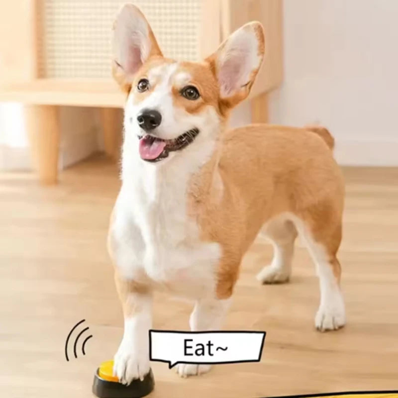 A small, light brown and white dog stands on a wooden floor with a yellow button near its paw.