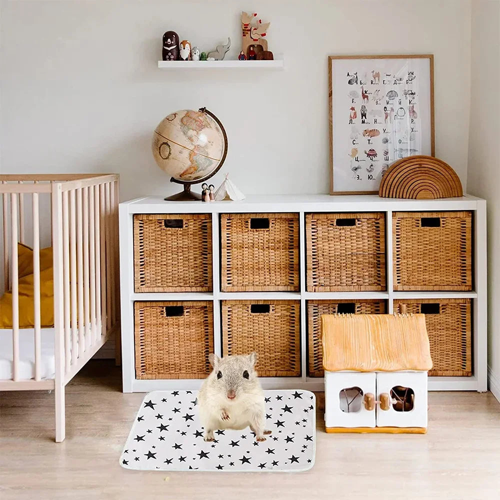 A small gray rodent sits on a white mat in front of a white storage cabinet with woven baskets.