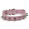 Pink studded leather dog collar with metal rivets and a silver buckle.