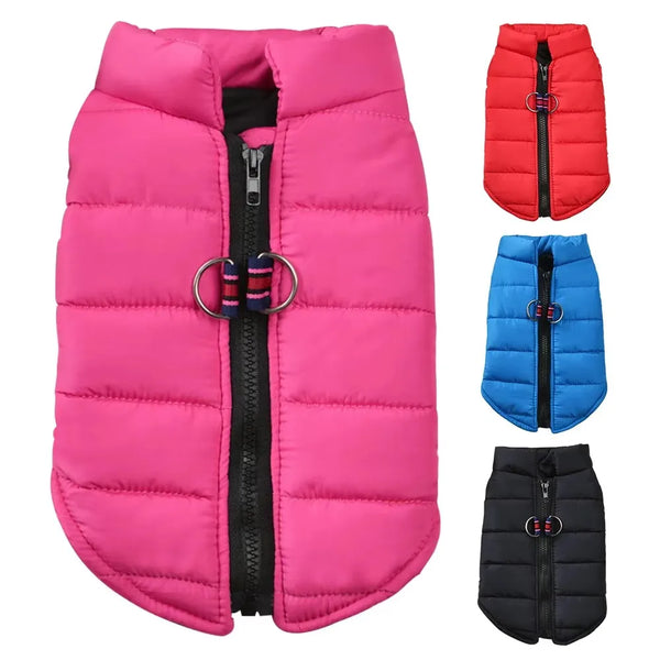 Pink, red, and blue padded dog coat jackets for small breeds shown in various colors.