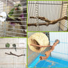 Natural wood grape branch perch for cockatiels shown in various contexts inside a cage