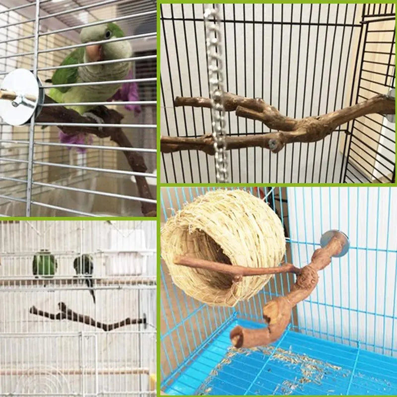 Natural wood grape branch perch for cockatiels shown in various contexts inside a cage