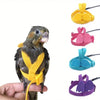 A hand holds a small parrot bird harness and leash set with various colored straps.