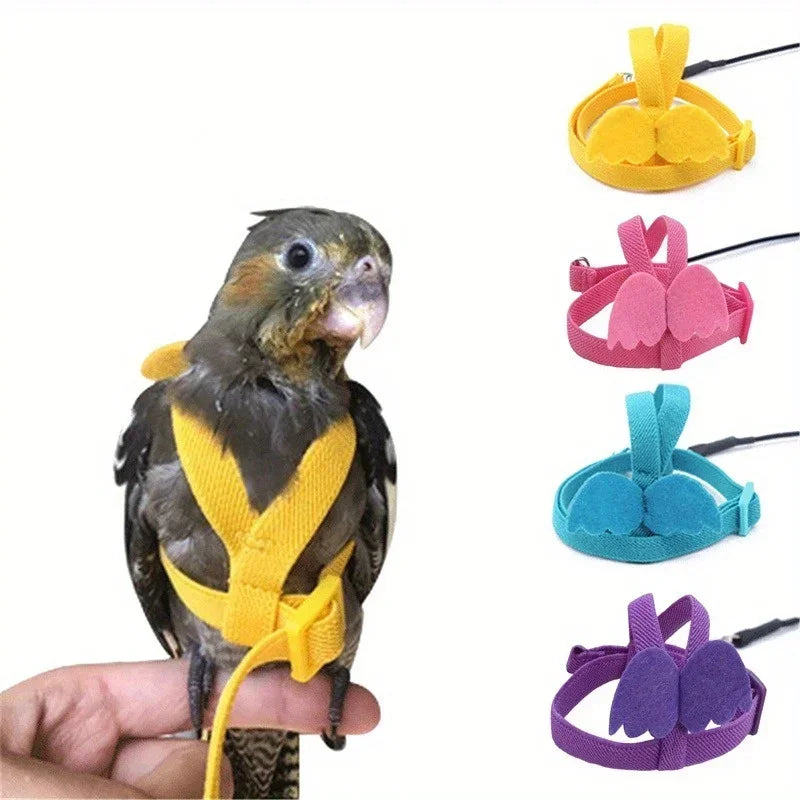 A hand holds a small parrot bird harness and leash set with various colored straps.