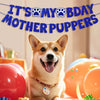 Un adorable perro Shiba Inu con collar sentado frente a decoraciones coloridas de fiesta de cumpleaños.