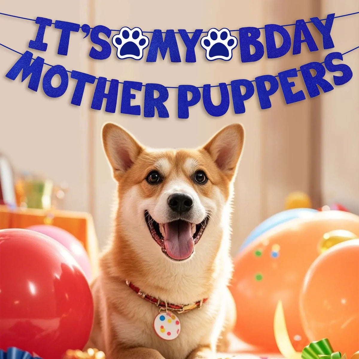 Un adorable perro Shiba Inu con collar sentado frente a decoraciones coloridas de fiesta de cumpleaños.