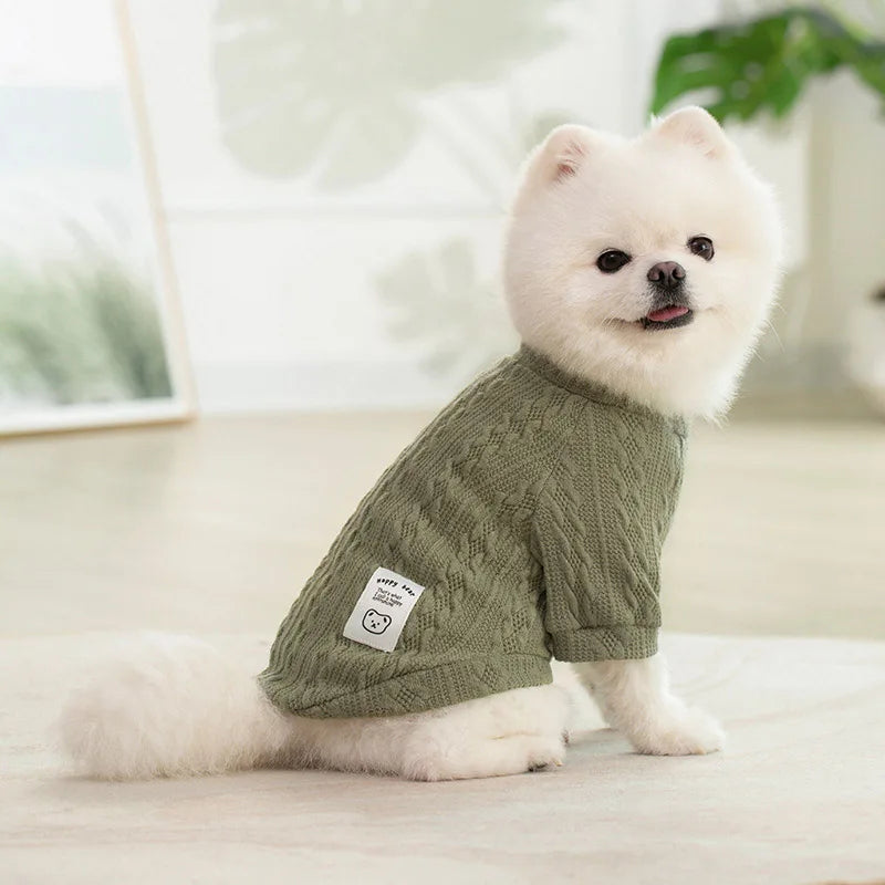 A fluffy white dog wearing a olive green knitted sweater sitting on a light surface.