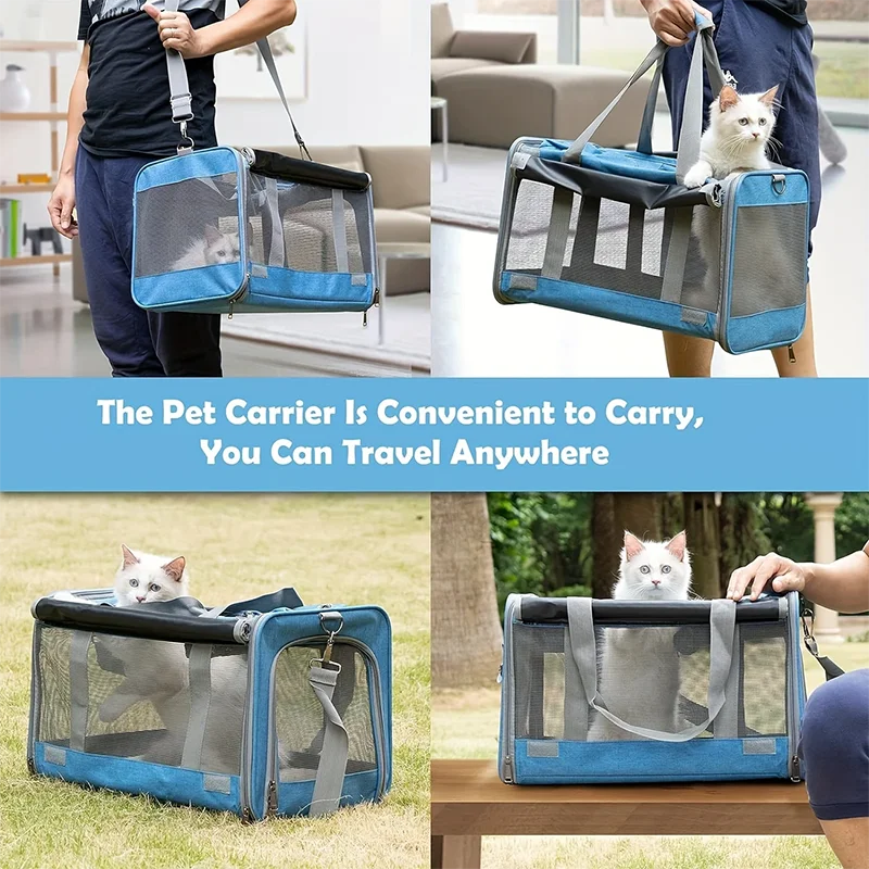 A blue breathable mesh pet carrier bag for cats and small dogs being carried by a person.
