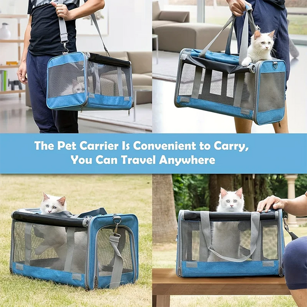 A blue breathable mesh pet carrier bag for cats and small dogs being carried by a person.