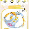 A striped blue and yellow dog harness and leash set shown against a white background.