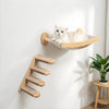 A white cat is resting in a wooden wall-mounted hammock and climbing shelf with a sisal scratching post.