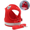 Red adjustable reflective mesh harness for cats and small dogs with a leash