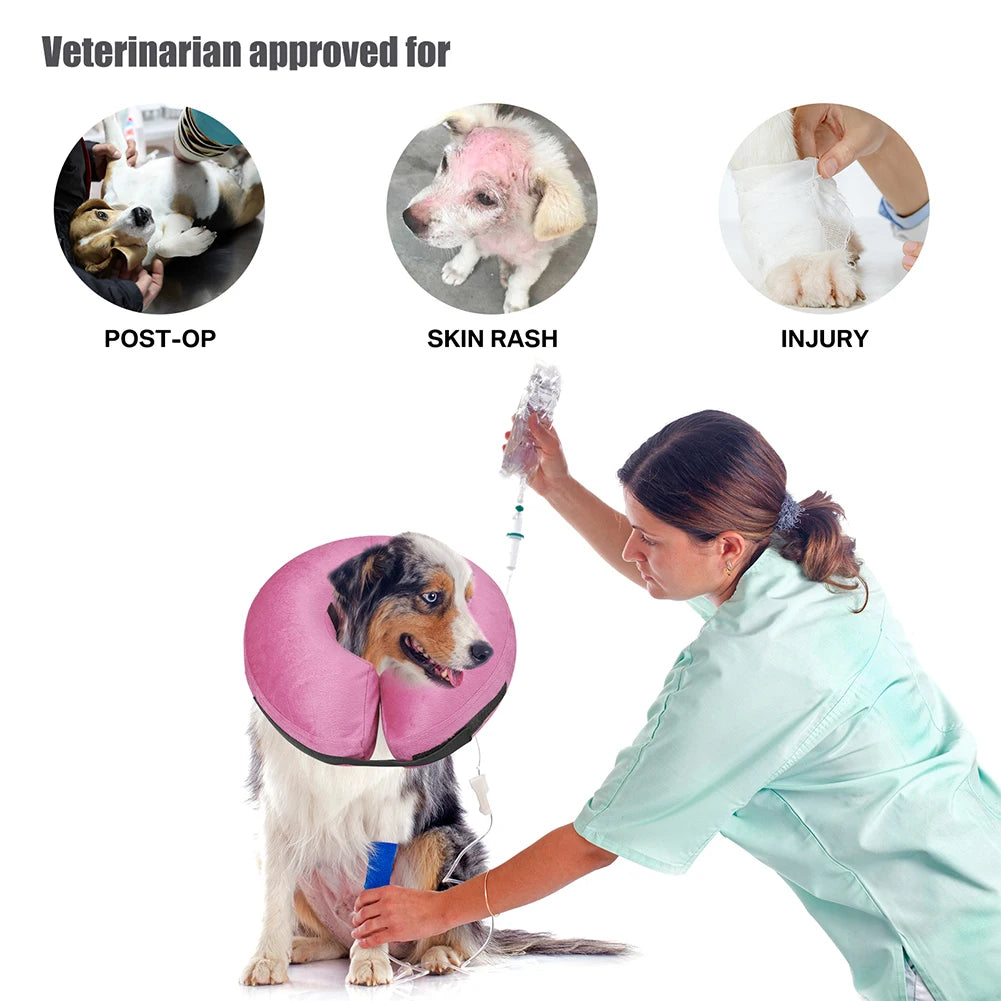 A veterinarian approved inflatable pet recovery collar being applied to a dog.
