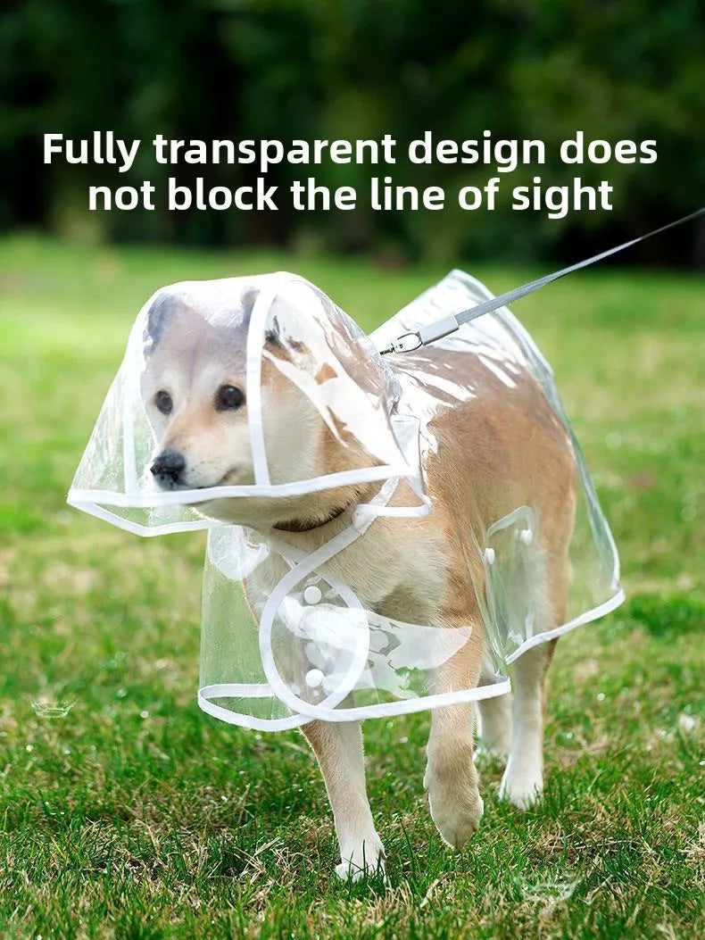 Ein hellbrauner Hund trägt einen vollständig transparenten Hundewaschmantel auf grünem Gras.