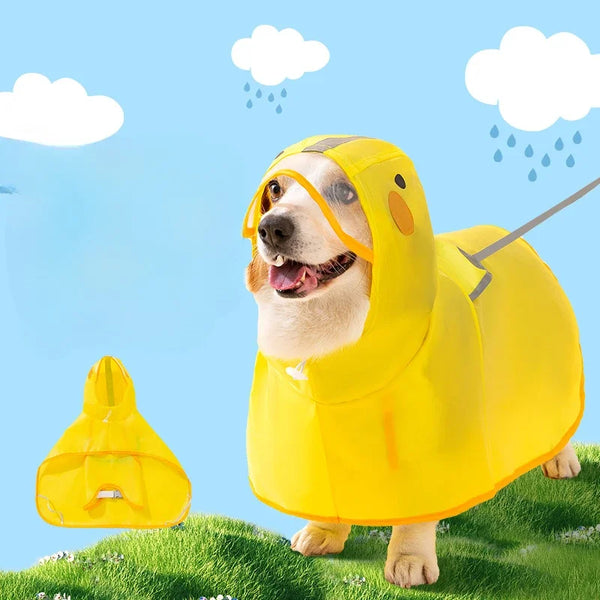 A golden retriever wearing a yellow raincoat outdoors under a blue sky with light rain.