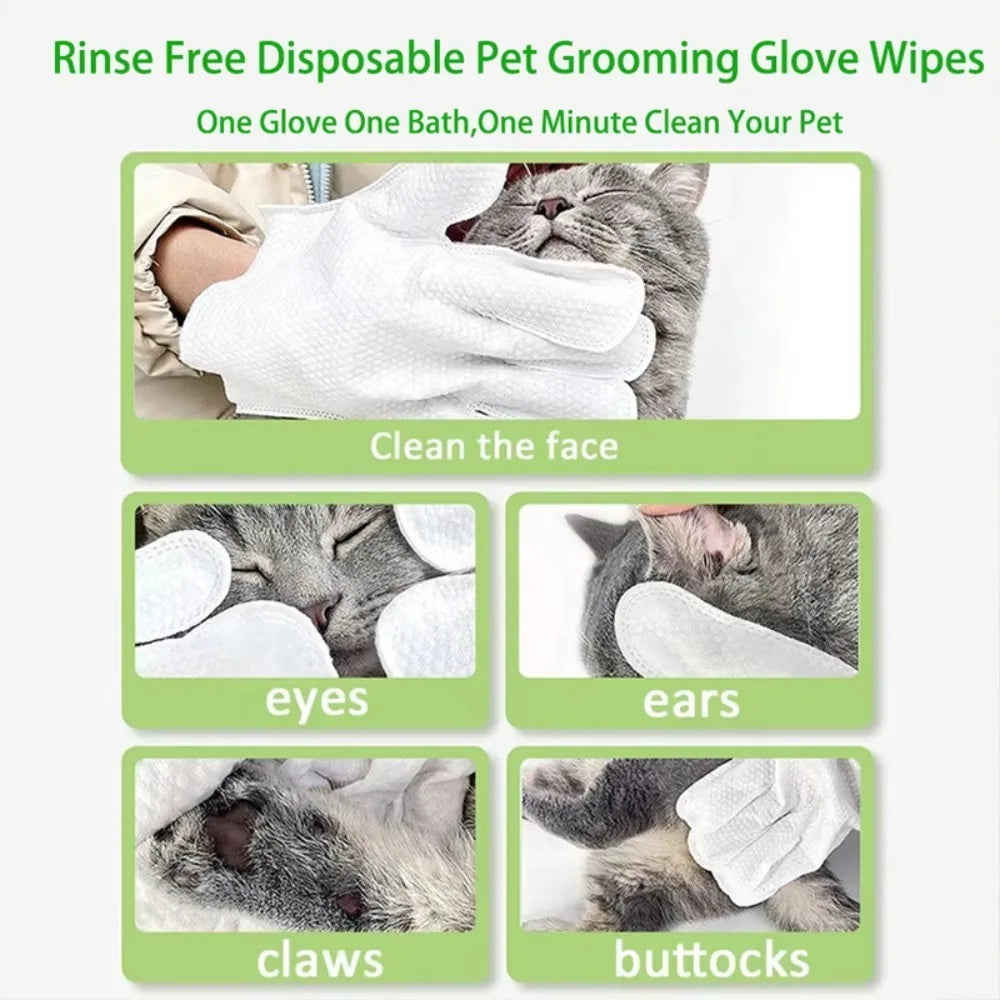 Disposable pet grooming gloves and wipes used to clean a cat's face, eyes, ears, claws, and buttocks.