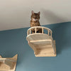 A tabby cat is sitting on a wooden modular cat wall shelf featuring a bridge and hammock design.