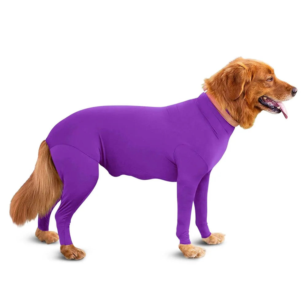 A golden retriever wearing a purple comfort fit dog onesie with full leg coverage.