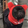 A black pug wearing a bright red fleece dog winter hat.