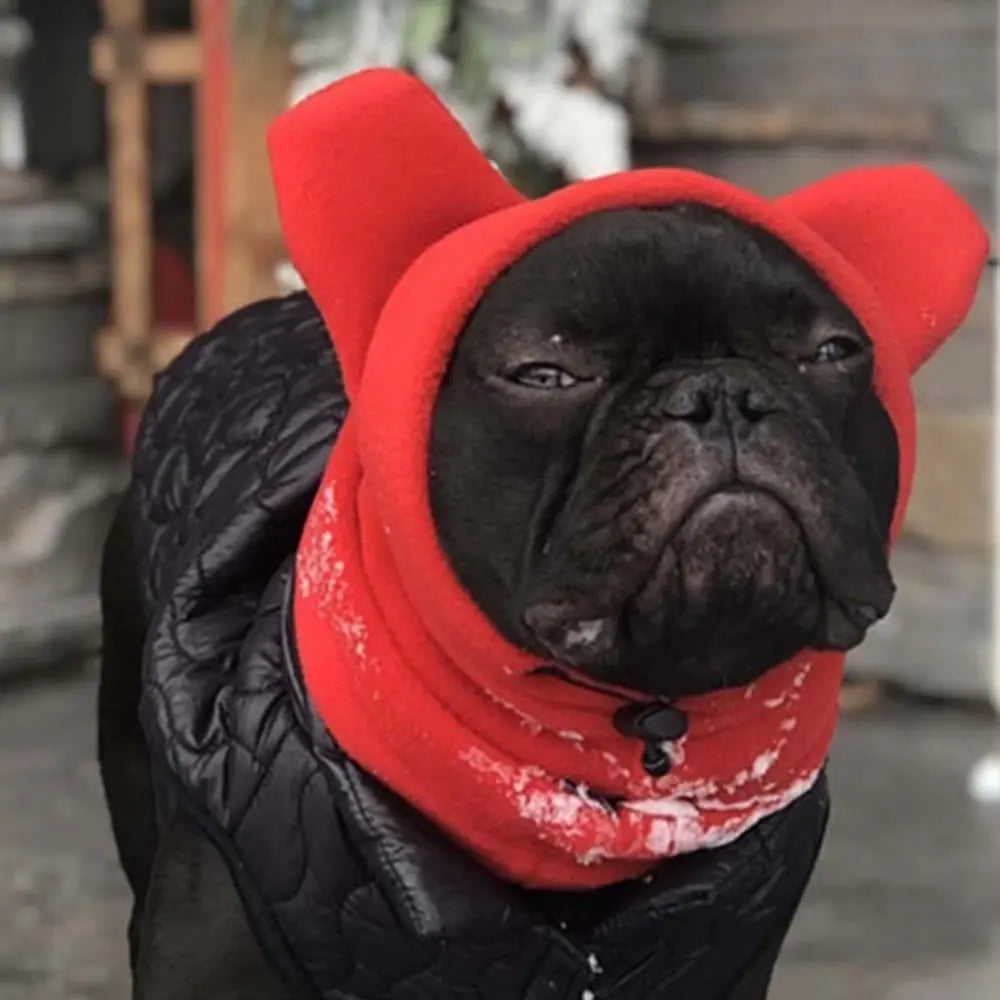A black pug wearing a bright red fleece dog winter hat.
