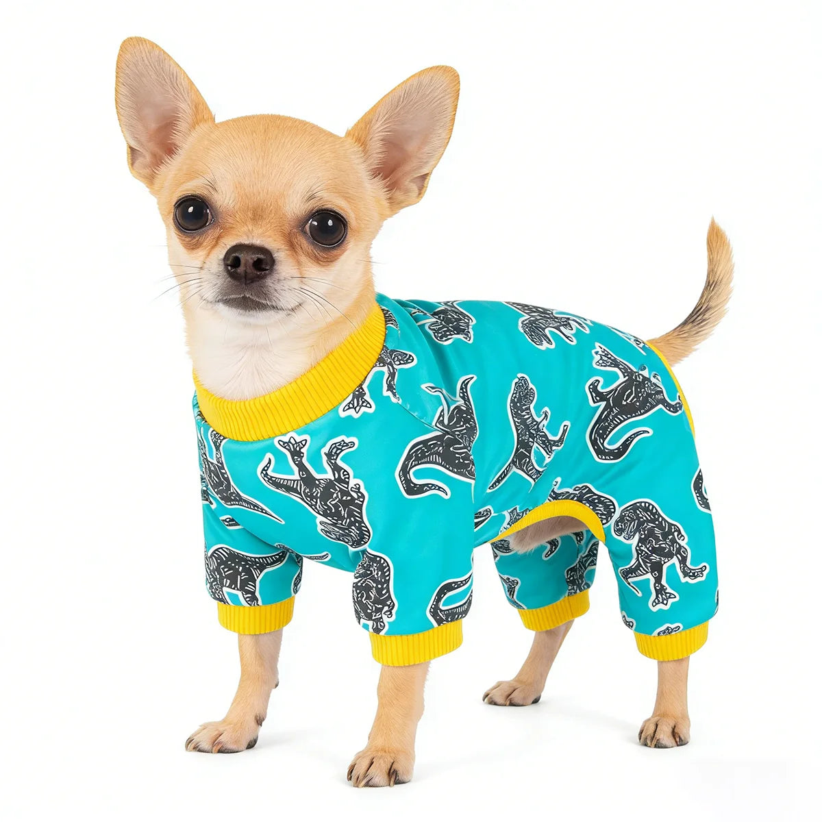A small fawn-colored dog wearing a teal pajama top with a black silhouette pattern.