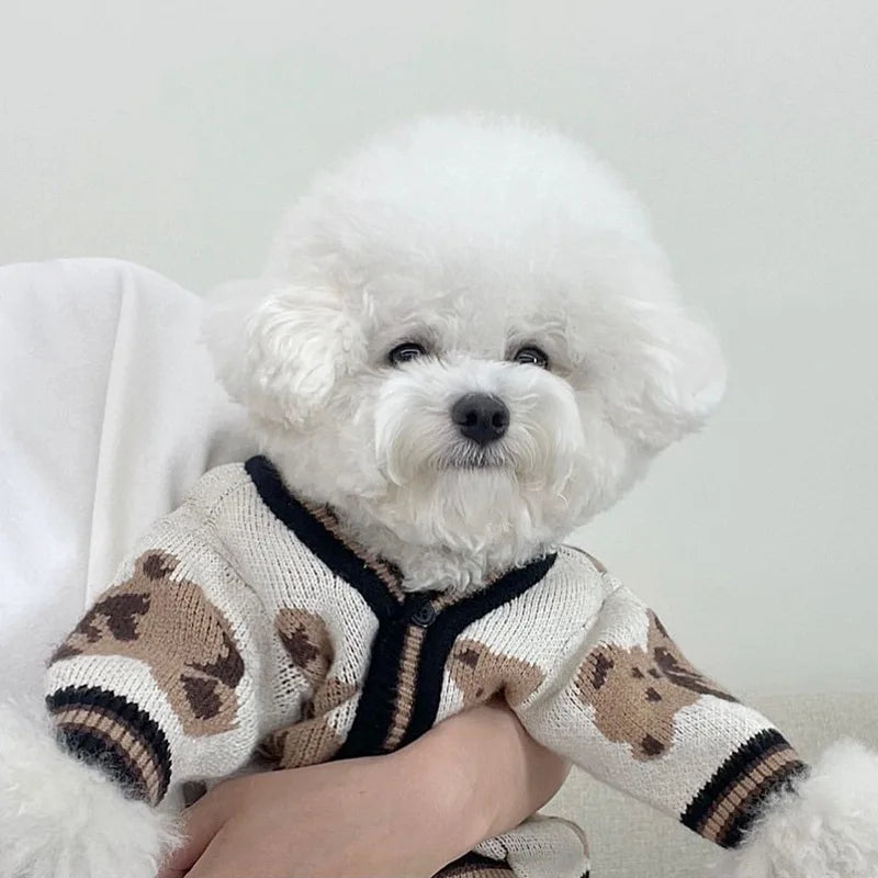 Un caniche blanco vistiendo un suéter de estampado de oso beige y negro.
