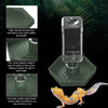 A clear water dish with a curved design sits on a green tray, shown next to a bearded dragon.