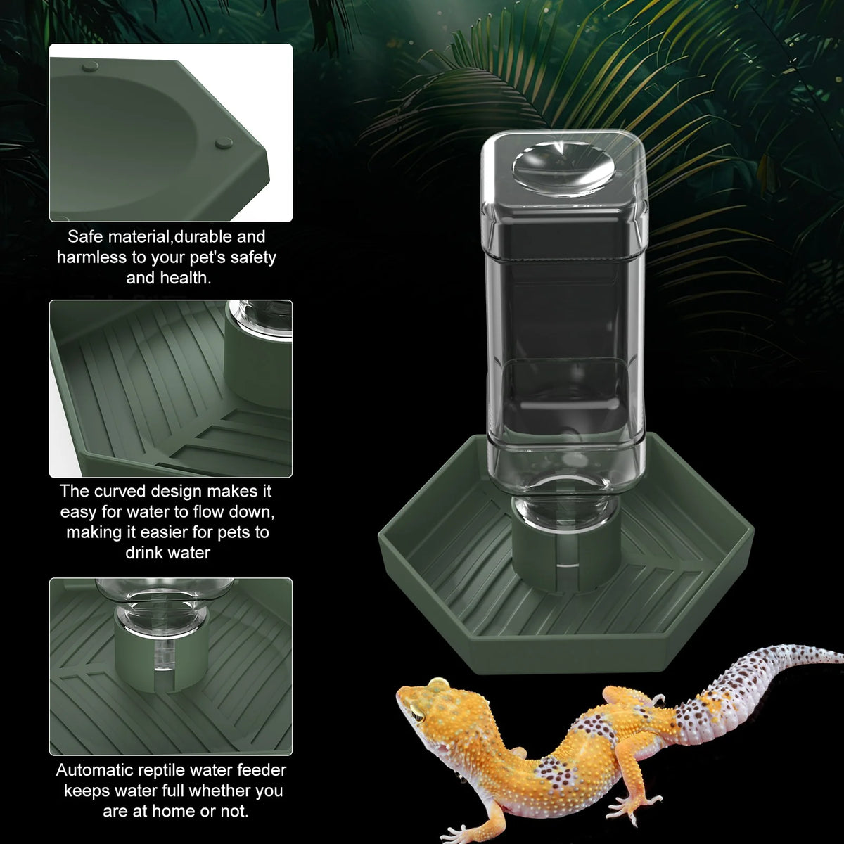 A clear water dish with a curved design sits on a green tray, shown next to a bearded dragon.