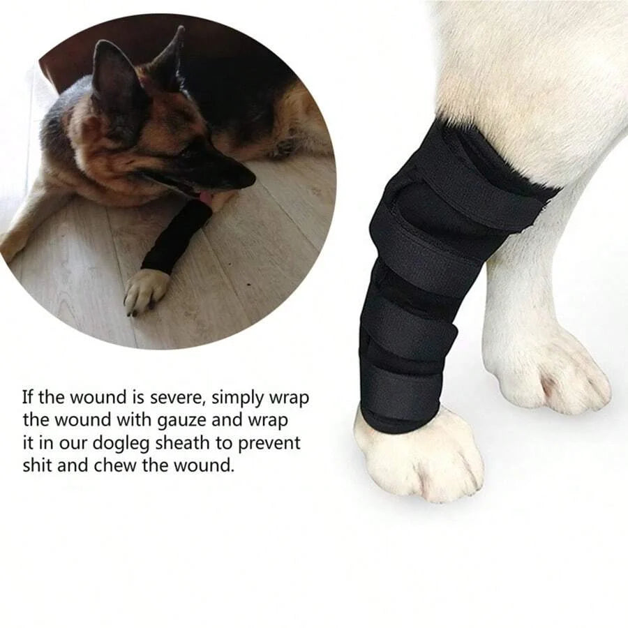La pata de un perro blanco está envuelta en una rodillera negra de apoyo para la recuperación.
