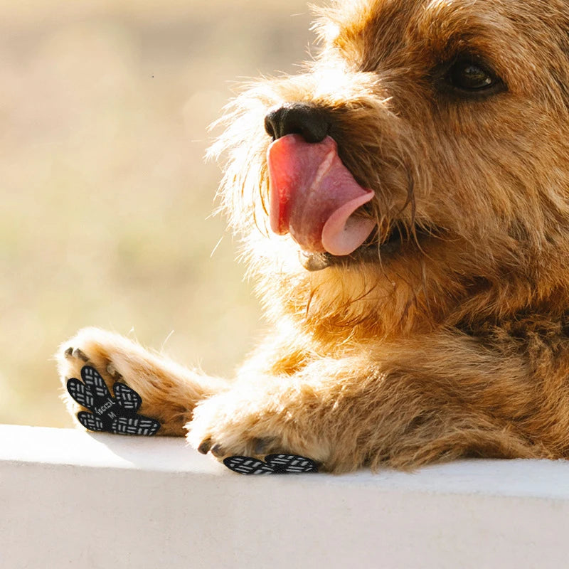 Close-up of a golden retriever dog with its tongue out, resting on a white surface.