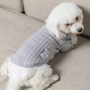 A white poodle wearing a light gray knitted winter sweater sitting on a beige sofa.