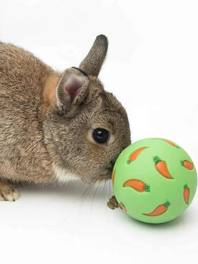 Eine graue Eichhörnchen, die einen leuchtend grünen Ball mit kleinen orangen Karottenformen betrachtet.