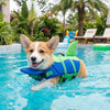 A happy dog wearing a bright green life vest swims in a blue swimming pool.