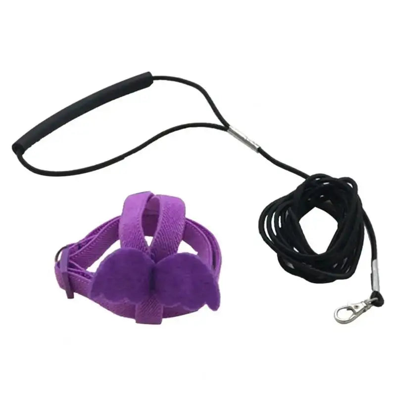 Purple parrot bird harness and leash set with a black strap and coiled leash.