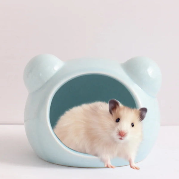 A fluffy white hamster is visible inside a light blue ceramic house designed for cooling.