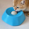 An orange tabby cat is interacting with a blue interactive slow feeder dog bowl.
