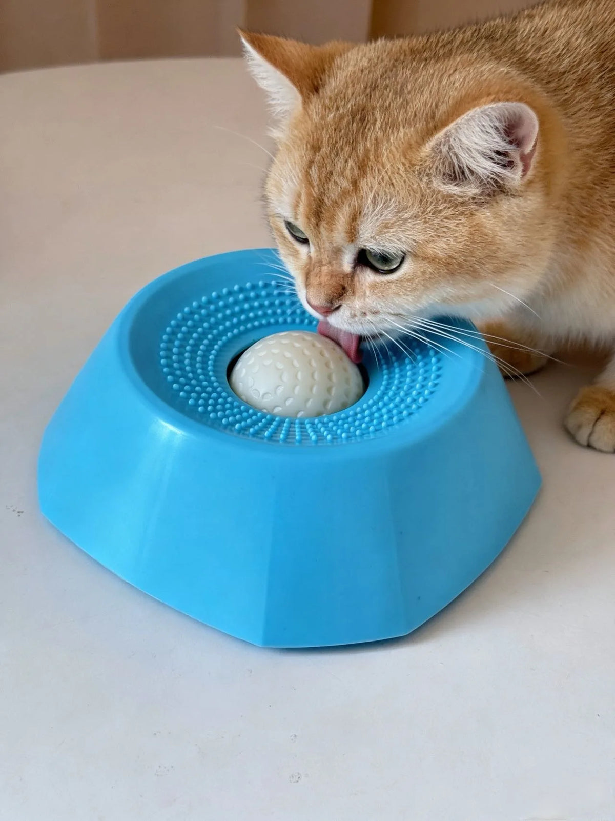 An orange tabby cat is interacting with a blue interactive slow feeder dog bowl.